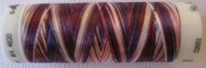 Amann Mettler Polysheen multi 9918