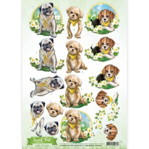 Amy Design knipvel honden CD10960 (Locatie: 0440)