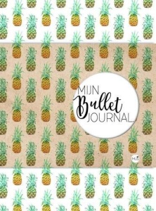 BBNC Mijn bullet Journal ananas (Locatie: 4231)