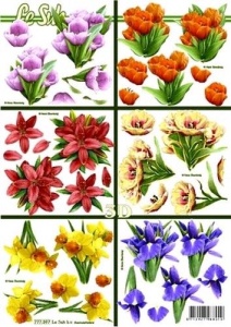 Le Suh knipvel bloemen 777397 (Locatie: 6727)