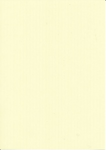 Papicolor fantasie papier groen 212723 (Locatie: 6537) - Img 2