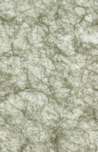 Spinnenweb papier mosgroen A4 118121 (Locatie: 1550)
