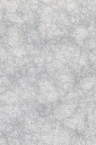 Spinnenweb papier zilver A4 118198 (Locatie; 1557)