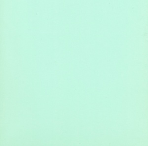 Top Hobby scrapbook karton 30,5x30,5 cm. lichtgroen