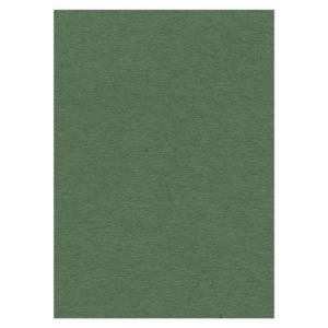 Card Deco karton donkergroen (forest green), A4 (Locatie: 1573)