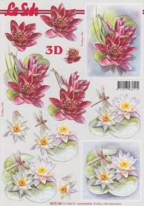 Le Suh knipvel bloemen 8215166 (Locatie: 2504)