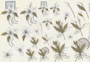 Mireille knipvel bloemen E175 (Locatie: 2403)