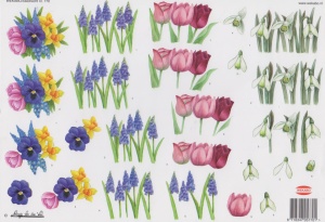 Wekabo knipvel bloemen 770 (Locatie: 2671)