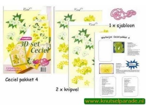 Ceciel pakket nr. 4 005 508 (Locatie: 5501)