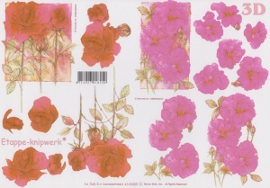 Le Suh knipvel bloemen nr. 4169459 (Locatie: 1624)