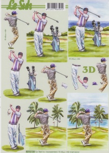 Le Suh knipvel golf 8215134 (Locatie: 0502)