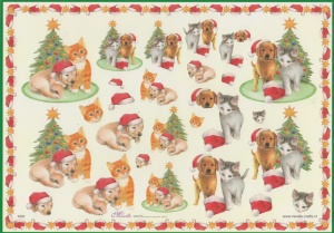 Mireille knipvel kerst X305 (Locatie: 5610)