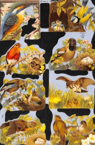 Poezieplaatje Vogels MLP1987 (Locatie: MP044)