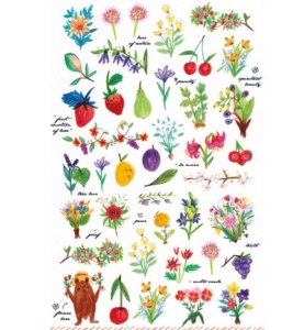 Stafil Mini Stickers fruit 740019-22 (Locatie: 1516)