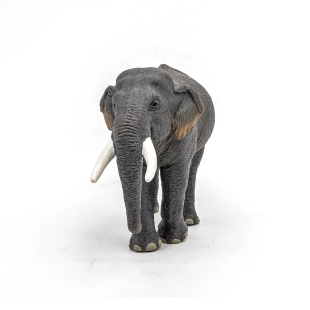 PAPO FIGURINA ELEFANT ASIATIC - Img 5