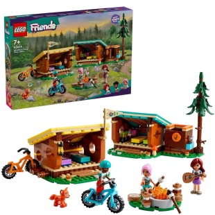 LEGO FRIENDS CABANE CONFORTABILE IN TABARA DE AVENTURI 42624 - Img 6