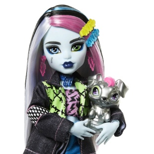 MONSTER HIGH PAPUSA FRANKIE STEIN SI ANIMALUT WATZIE - Img 5