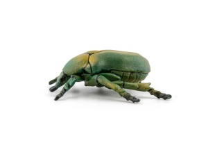 PAPO FIGURINA CARABUS - Img 3