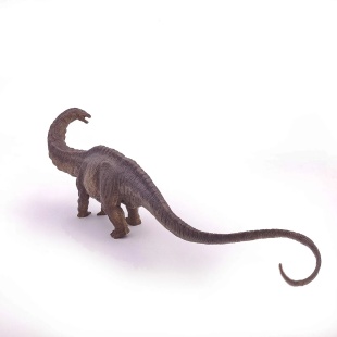 PAPO FIGURINA APATOSAURUS DINOZAUR - Img 3