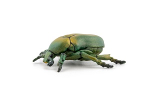 PAPO FIGURINA CARABUS - Img 4