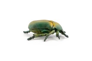 PAPO FIGURINA CARABUS - Img 5