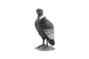 PAPO FIGURINA CONDOR - Img 5