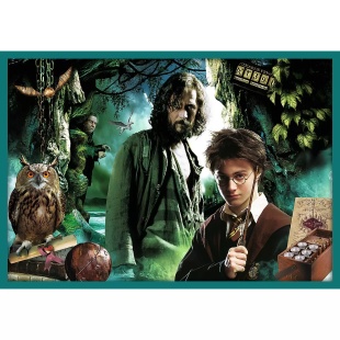 PUZZLE TREFL 10IN1 HARRY POTTER IN LUMEA LUI HARRY POTTER - Img 7
