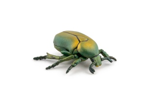PAPO FIGURINA CARABUS - Img 6