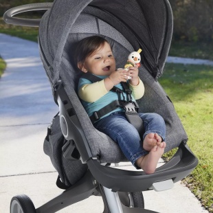 FISHER PRICE JUCARIE ZORNAITOARE GASCA - Img 4