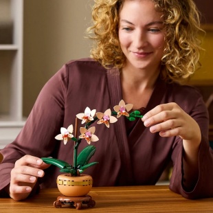 LEGO BOTANICALS MINI ORHIDEE 10343 - Img 3
