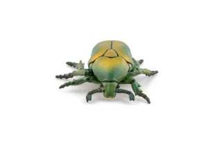PAPO FIGURINA CARABUS - Img 7
