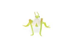 PAPO FIGURINA LACUSTA - Img 2