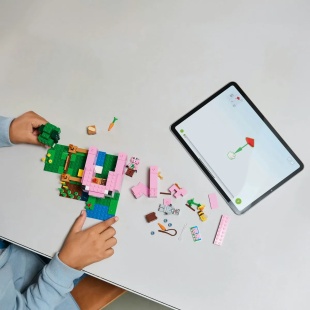 LEGO MINECRAFT CASA-PURCELUS 21268 - Img 5