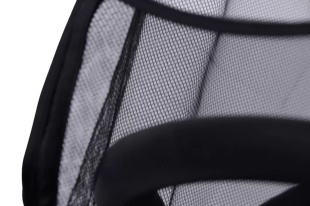 PLASA INSECTE CARUCIOR HAMILTON - Img 2