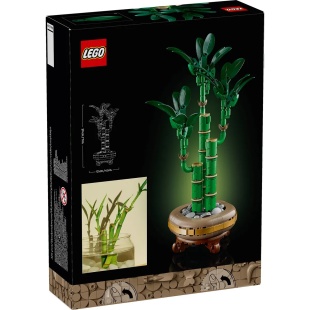 LEGO BOTANICALS BAMBUS NOROCOS 10344 - Img 8