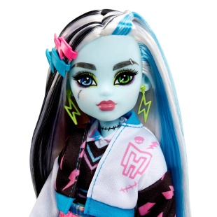 MONSTER HIGH PAPUSA FRANKIE STEIN CU ANIMALUT SI ACCESORII - Img 4