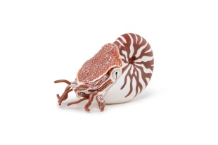 PAPO FIGURINA NAUTILUS - Img 4