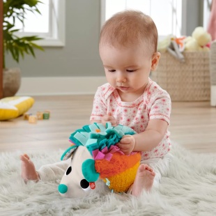 FISHER PRICE ARICIUL CU ACTIVITATI SENZORIALE - Img 5