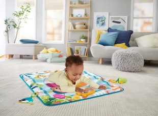 FISHER PRICE COVORAS CU ACTIVITATI - Img 3