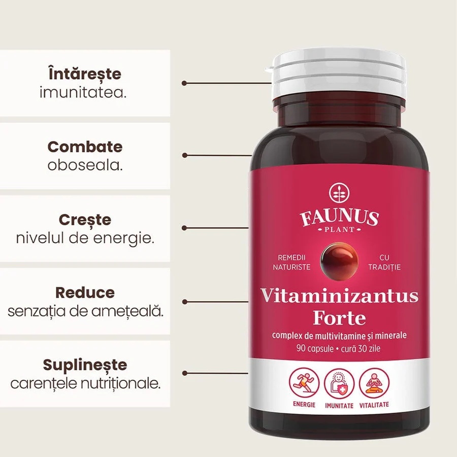Vitaminizantus Forte - Capsule cu multivitamine și minerale de calitate. Echilibru, energie și vitalitate pentru o viață activă și solicitantă. Flacon 90 capsule - 2 | YEO