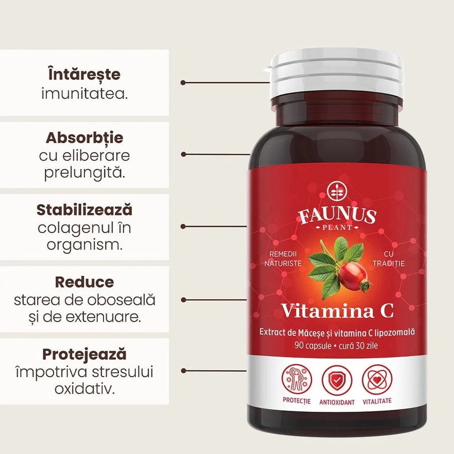 Vitamina C lipozomală cu măceșe - Concentrație mare de vitamina C pentru imunitate, absorbție fier și producerea de colagen - 90 Capsule - 2 | YEO