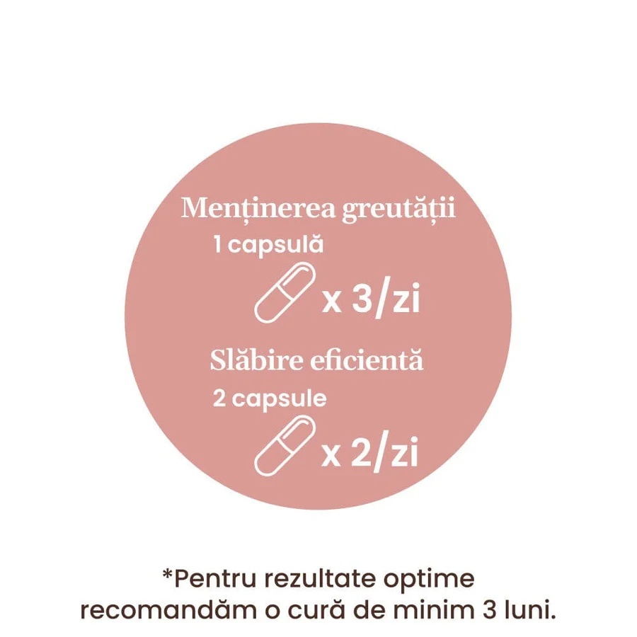 ProSilueth Capsule - Formulă unică pentru cura de slăbire, plante medicinale cu acțiune dovedită pentru accelerarea metabolismului, arderea grăsimilor, reducerea apetitului și detoxifierea organismului - 90 capsule - 3 | YEO