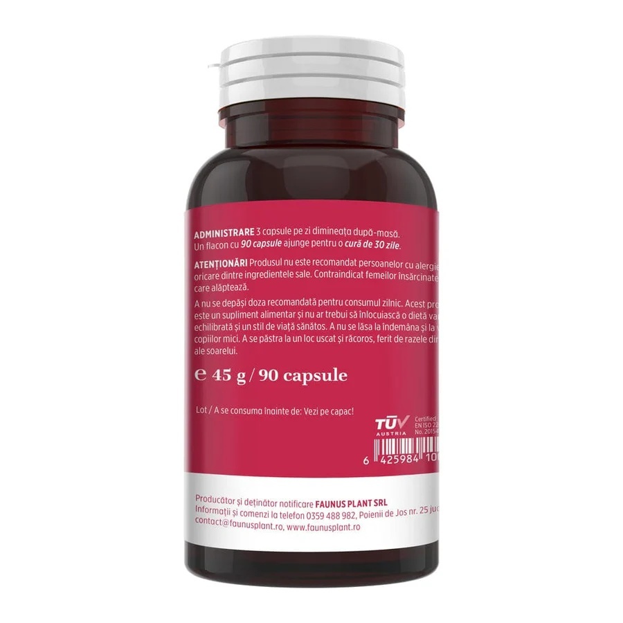 Vitaminizantus Forte - Capsule cu multivitamine și minerale de calitate. Echilibru, energie și vitalitate pentru o viață activă și solicitantă. Flacon 90 capsule - 1 | YEO