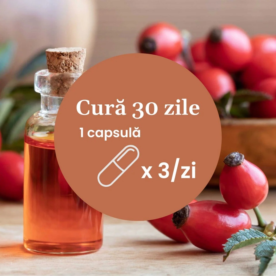 Vitamina C lipozomală cu măceșe - Concentrație mare de vitamina C pentru imunitate, absorbție fier și producerea de colagen - 90 Capsule - 3 | YEO