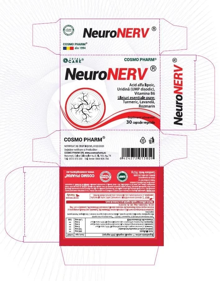 NEURONERV® – Suport avansat pentru sistemul nervos periferic cu Uridina & Acid Alfa-Lipoic - 2 | YEO