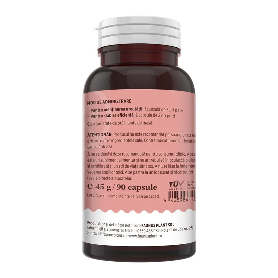 ProSilueth Capsule - Formulă unică pentru cura de slăbire, plante medicinale cu acțiune dovedită pentru accelerarea metabolismului, arderea grăsimilor, reducerea apetitului și detoxifierea organismului - 90 capsule - 1 | YEO