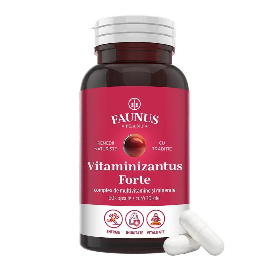 Vitaminizantus Forte - Capsule cu multivitamine și minerale de calitate. Echilibru, energie și vitalitate pentru o viață activă și solicitantă. Flacon 90 capsule