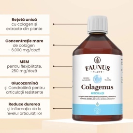 Colagenus Articulații - Colagen lichid. Flacon 500ml. Susține sănătatea articulațiilor, mușchilor și ligamentelor. Reduce durerile reumatice - Img 3