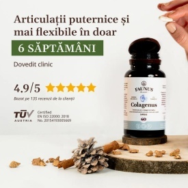 Colagenus Capsule - Colagen concentrat tip II, acid hialuronic și plante medicinale. Dureri articulare, rezistență articulații, flexibilitate - 60 Capsule - Img 4