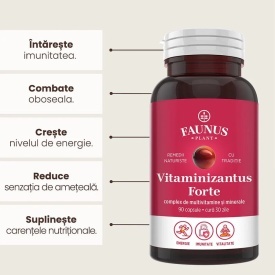 Vitaminizantus Forte - Capsule cu multivitamine și minerale de calitate. Echilibru, energie și vitalitate pentru o viață activă și solicitantă. Flacon 90 capsule - Img 3